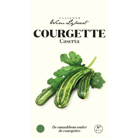 Courgette Caserta - Wim Lybaert Zaaigoed