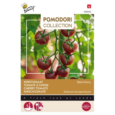 Buzzy Pomodori, Kirschtomate Black Cherry - Buzzy Pomodori, Kerstomaat Black Cherry