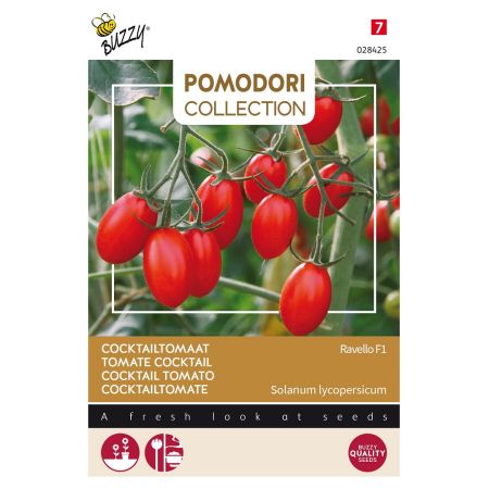 Buzzy Pomodori, Tomate Ravello F1 - Buzzy Pomodori, Tomaat Ravello F1