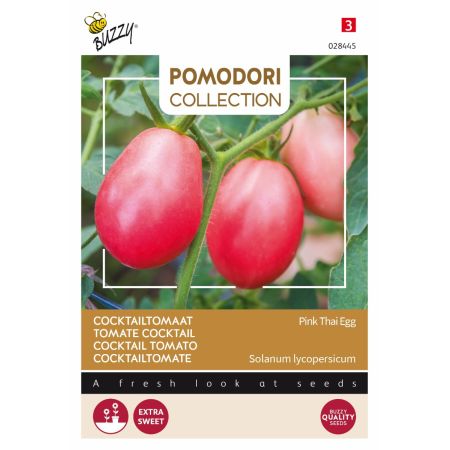 Buzzy Pomodori, Tomate Pink Thai Egg - Buzzy Pomodori, Tomaat Pink Thai Egg