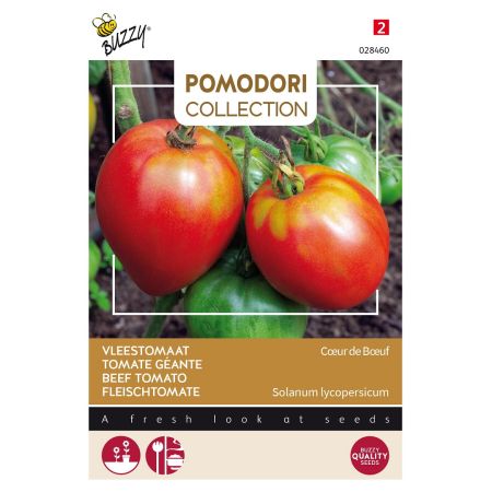 Buzzy Pomodori, Fleischtomate Cœur de Bœuf - Buzzy Pomodori, Vleestomaat Cœur de Bœuf