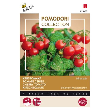 Buzzy Pomodori, Tomate Micro Tom F1 - Buzzy Pomodori, Tomaat Minuscolo
