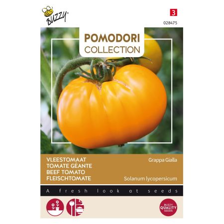 Buzzy Pomodori, Fleischtomate Grappa Gialla - Buzzy Pomodori, Vleestomaat Grappa Gialla