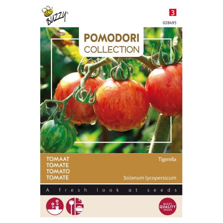 Buzzy Pomodori, Tomate Tigerella - Buzzy Pomodori, Tomaat Tigerella