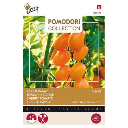 Buzzy Pomodori, Kirschtomate Dolly F1 - Buzzy Pomodori, Kerstomaat Dolly F1