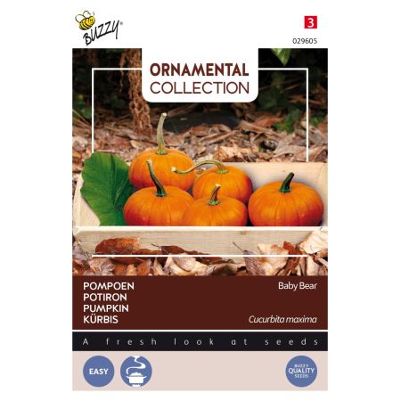Buzzy Ornamental Kürbis Baby Bear - Buzzy Ornamental Pompoen Baby Bear