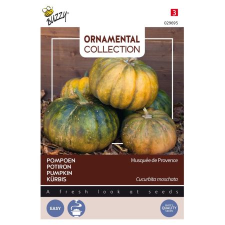 Buzzy Ornamental Kalebasse Musquée de Provence - Buzzy Ornamental Courgette Musque De Provence