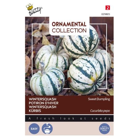 Buzzy Ornamental Kürbis Sweet Dumpling - Buzzy Ornamental Wintersquash Sweet Dumpling