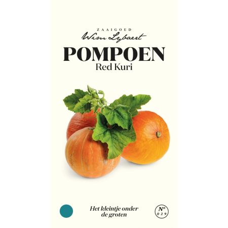Pompoen Red Kuri - Wim Lybaert Zaaigoed