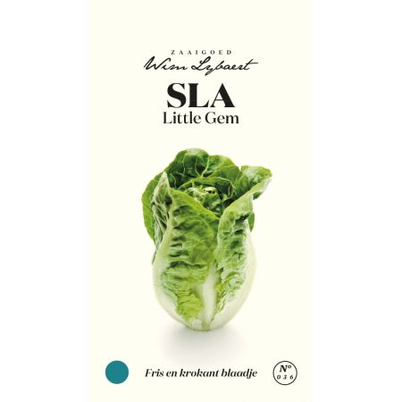 Sla Little Gem - Wim Lybaert Zaaigoed