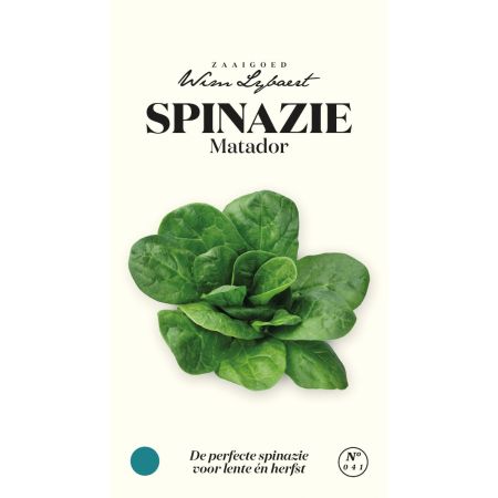 Spinazie Matador - Wim Lybaert Zaaigoed