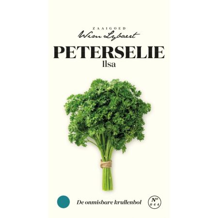 Peterselie Ilsa - Wim Lybaert Zaaigoed