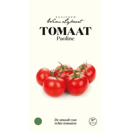 Tomaat Paoline - Wim Lybaert Zaaigoed