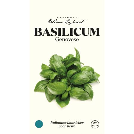 Basilicum Genovese - Wim Lybaert Zaaigoed