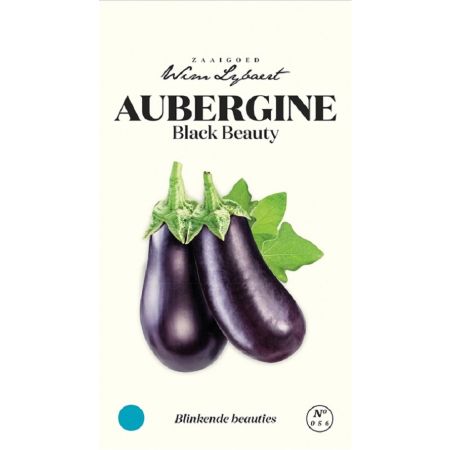 Aubergine Black Beauty - Wim Lybaert Zaaigoed