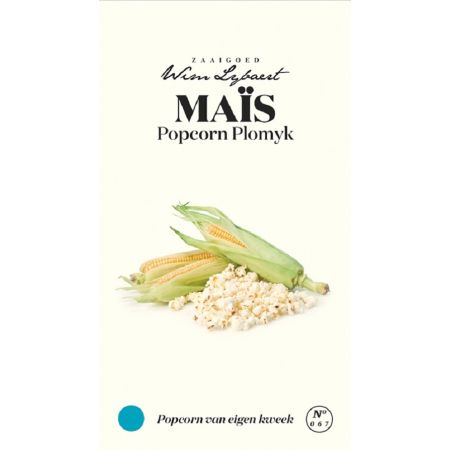 Mais Popcorn Plomyk - Wim Lybaert Zaaigoed