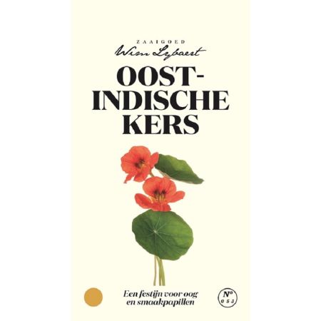 Oost-Indische Kers Black Velvet - Wim Lybaert Zaaigoed