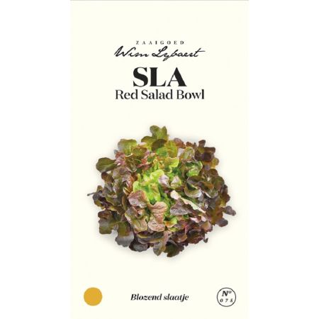 Sla Red Salad Bowl - Wim Lybaert Zaaigoed