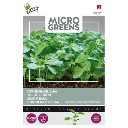 Buzzy Microgreens, Zitronenbasilikum - Buzzy Microgreens, Citroenbasilicum