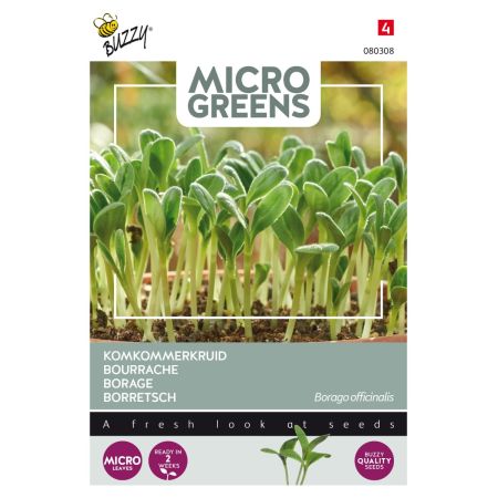 Buzzy Microgreens, Borretsch - Buzzy Microgreens, Borage (komkommerkruid)