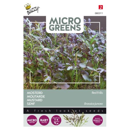Buzzy Microgreens, Blattsenf Red Frills - Buzzy Microgreens, Mosterd Red Frills