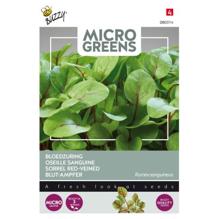 Buzzy Microgreens, Blut-Ampfer - Buzzy Microgreens, Bloedzuring