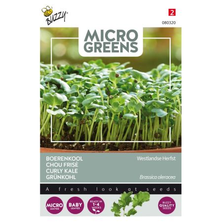 Buzzy Microgreens, Grünkohl Westländer Halbhoher - Buzzy Microgreens, Boerenkool Westlandse Herfst