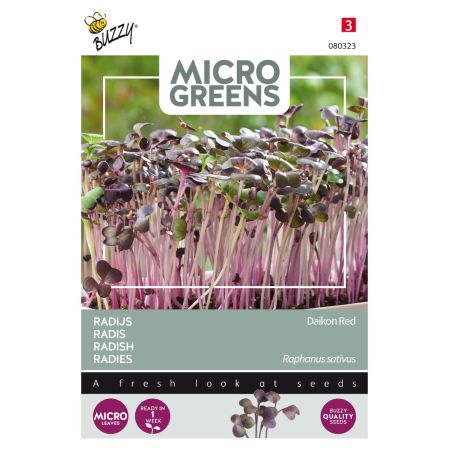 Buzzy Microgreens, Radies Daikon Rot - Buzzy Microgreens, Radijs Rode Daikon