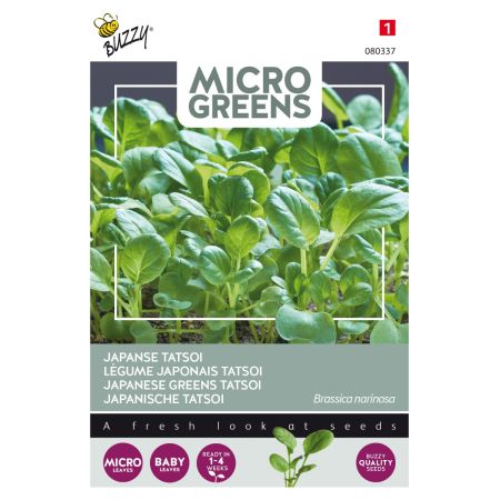 Buzzy Microgreens, Japanischer Tatsoi