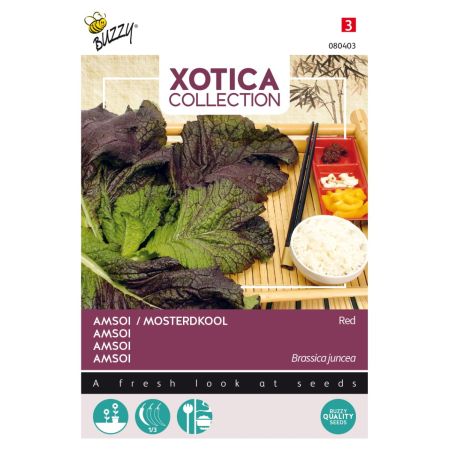 Buzzy Xotica Amsoi Rot, Indischer Senf - Buzzy Xotica Rode Amsoi of Mosterdkool