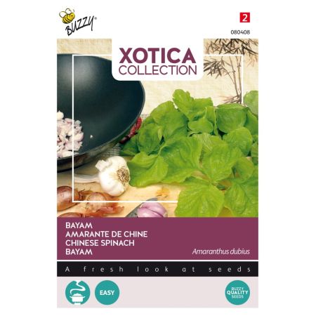 Buzzy Xotica Armant Bayam - Buzzy Xotica Bayam Klaroen