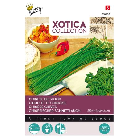 Buzzy Xotica Chinesischer Schnittlauch - Buzzy Xotica Chinese Bieslook