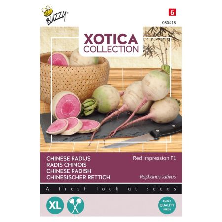 Buzzy Xotica Rettich Red Impression F1 - Buzzy Xotica Japanse of chinese radijs Red Impression F1
