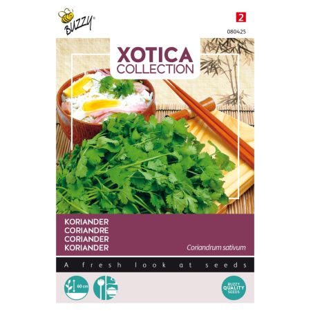 Buzzy Xotica Koriander