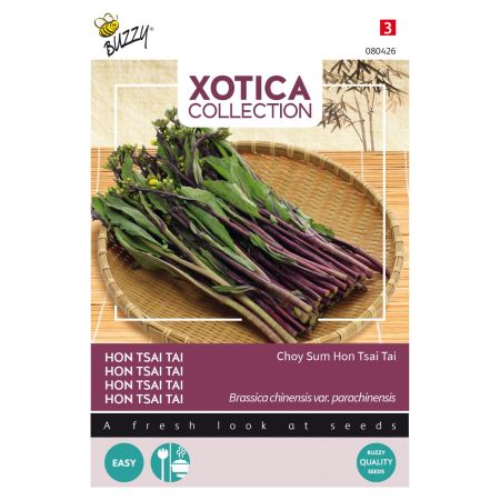Buzzy Xotica Hon Tsai Tai - Yu Choi Sum - Buzzy Xotica Purple Choy Sum Hon Tsai Tai