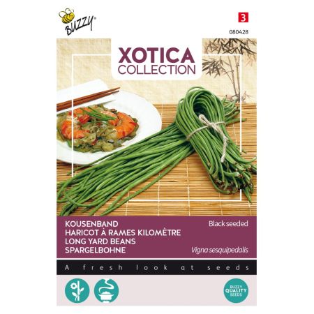 Buzzy Xotica Spargelbohne Metro Nero - Buzzy Xotica Kousenband, zwartzadig