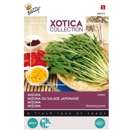 Buzzy Xotica Mizuna - Buzzy Xotica Mizuna, Japanse salade