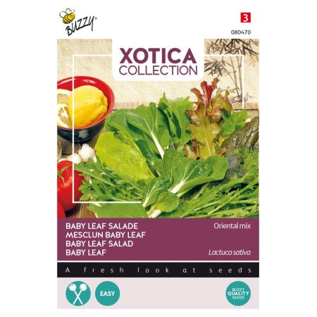 Buzzy Xotica Baby Leaf Salat, Oriental Mischung - Buzzy Xotica Oriental mix, Baby Leaf mix