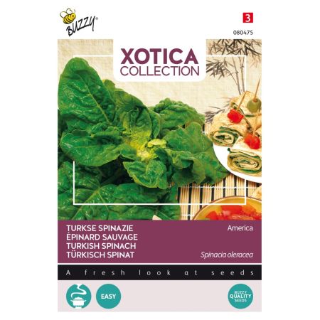Buzzy Xotica Türkisch Spinat - Buzzy Xotica Turkse Spinazie (wilde)