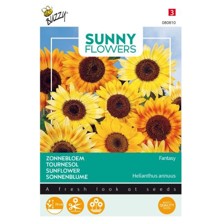 Buzzy Sunny Flowers, Sonnenblume Fantasy - Buzzy Sunny Flowers, Zonnebloem Fantasy