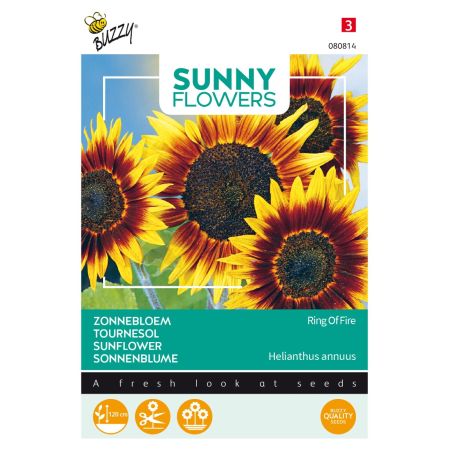 Buzzy Sunny Flowers, Sonnenblume Ring of Fire - Buzzy Sunny Flowers, Zonnebloem Ring of Fire