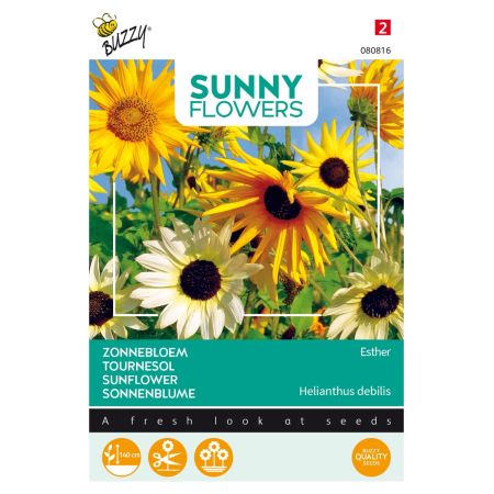 Buzzy Sunny Flowers, Sonnenblume Esther - Buzzy Sunny Flowers, Zonnebloem Esther