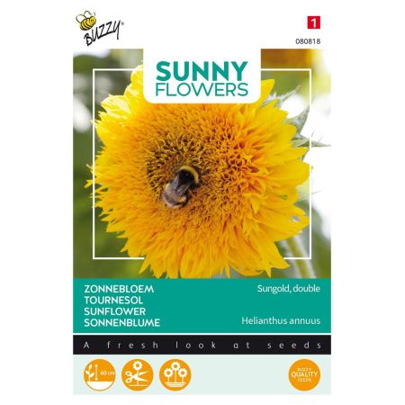 Buzzy Sunny Flowers, Niedrige Sonnenblume Sungold gefullte - Buzzy Sunny Flowers, lage Zonnebloem Sungold dubbelbloemig