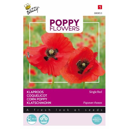 Buzzy Poppy Flowers, Klatschmohn Rot - Buzzy Poppy Flowers, Klaproos Rhoeas Rood