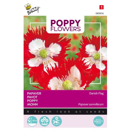 Buzzy Poppy Flowers Mohnblume - Buzzy Poppy Flowers, Papaver Deense Vlag