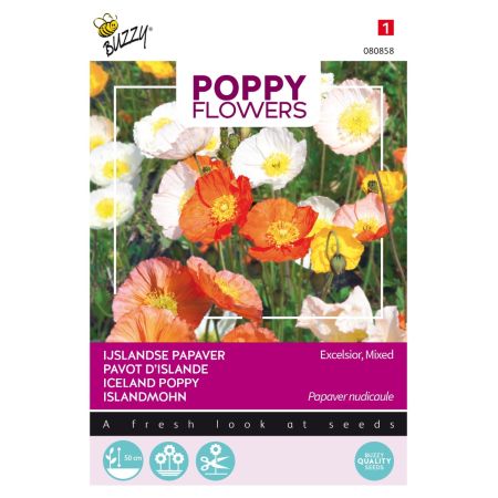 Buzzy Poppy Flowers Islandmohn - Buzzy Poppy Flowers, IJslandse papaver