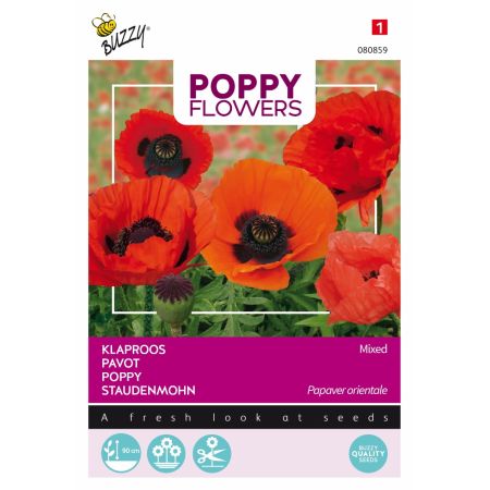 Buzzy Poppy Flowers Staudenmohn Oriental - Buzzy Poppy Flowers, Oosterse klaproos gemengd
