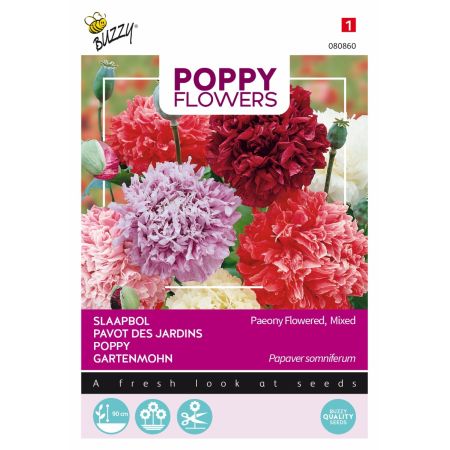 Buzzy Poppy Flowers Mohn Paeoniflorum Gef. Misch. - Buzzy Poppy Flowers, Slaapbol Pioenbloemige papaver