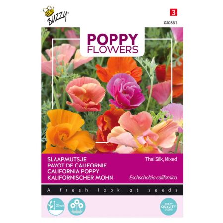 Buzzy Poppy Flowers, Kalifornischer Mohn Thai Silk - Buzzy Poppy Flowers, Papaver Thai Silk