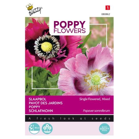 Buzzy Poppy Flowers Mohnblume Somniferum Mischung - Buzzy Poppy Flowers, Papaver slaapbol
